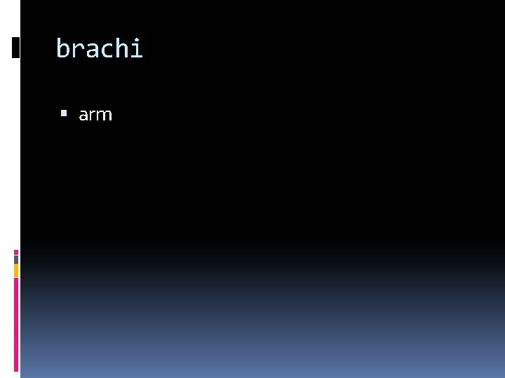 brachi arm 