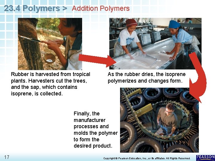 23. 4 Polymers > Addition Polymers Rubber is harvested from tropical plants. Harvesters cut