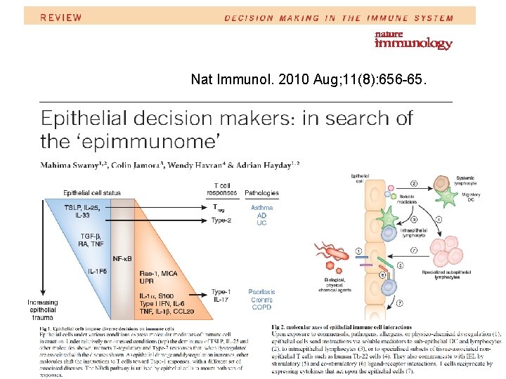 Nat Immunol. 2010 Aug; 11(8): 656 -65. 