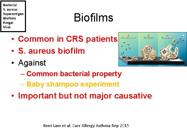 Biofilms • Common in CRS patients • S. aureus biofilm • Against – Common