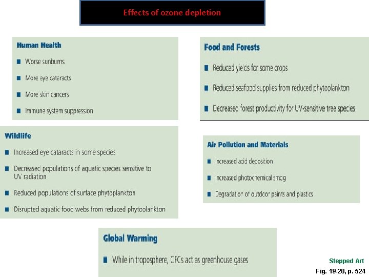 Effects of ozone depletion Stepped Art Fig. 19 -20, p. 524 