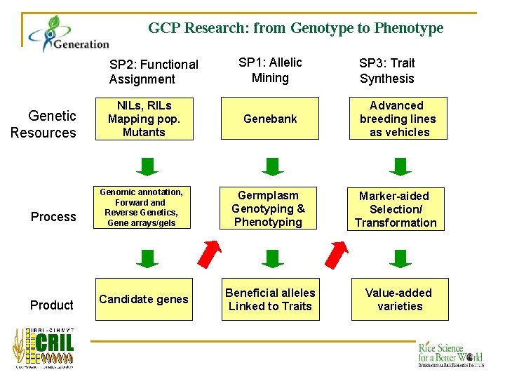 GCP Research: from Genotype to Phenotype SP 2: Functional Assignment Genetic Resources Process Product