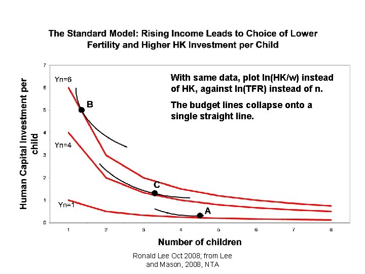 With same data, plot ln(HK/w) instead of HK, against ln(TFR) instead of n. The