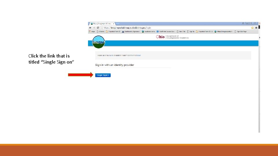 Click the link that is titled “Single Sign on” 