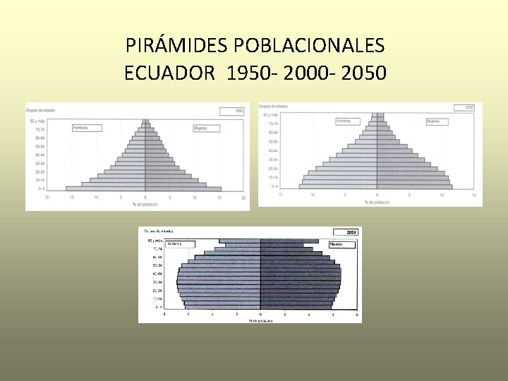 PIRÁMIDES POBLACIONALES ECUADOR 1950 - 2000 - 2050 