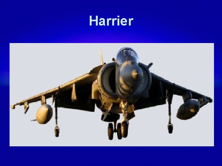 Harrier 