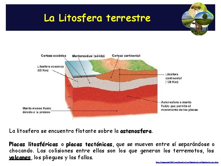 El suelo y su manejo Material complementario Definiciones