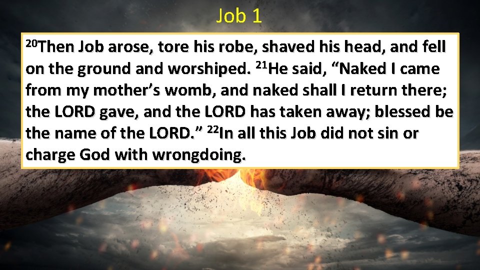 Job 1 20 Then Job arose, tore his robe, shaved his head, and fell