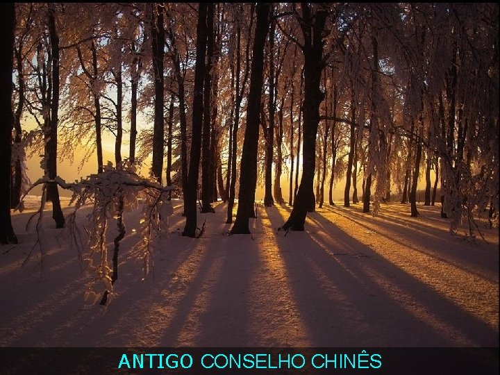 ANTIGO CONSELHO CHINÊS 