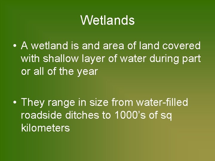 Wetlands • A wetland is and area of land covered with shallow layer of