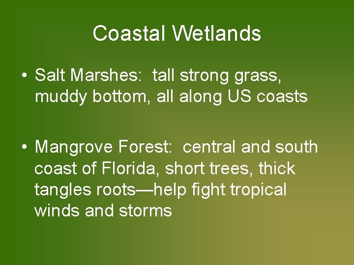 Coastal Wetlands • Salt Marshes: tall strong grass, muddy bottom, all along US coasts