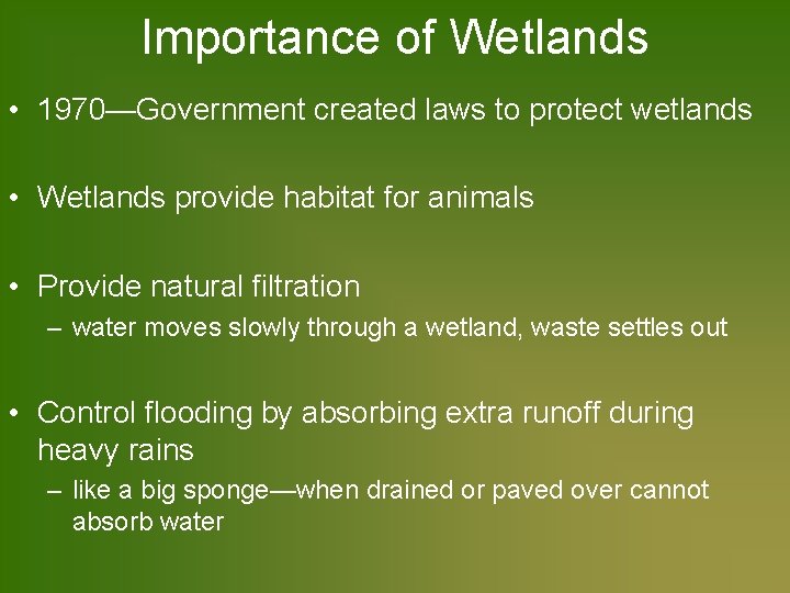 Importance of Wetlands • 1970—Government created laws to protect wetlands • Wetlands provide habitat