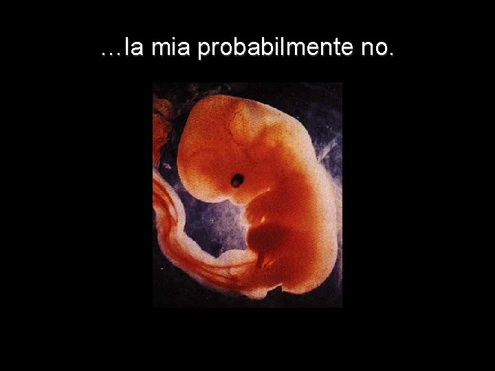 …la mia probabilmente no. 