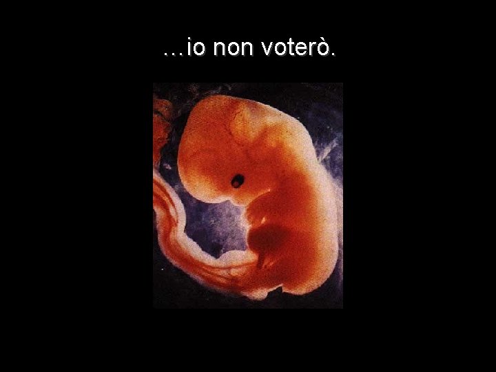 …io non voterò. 