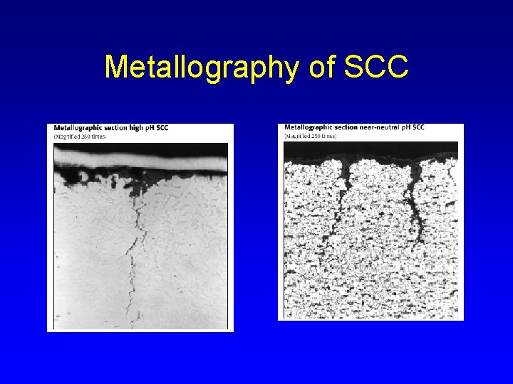 Stress Corrosion Cracking Overview Introduction David Johnson December