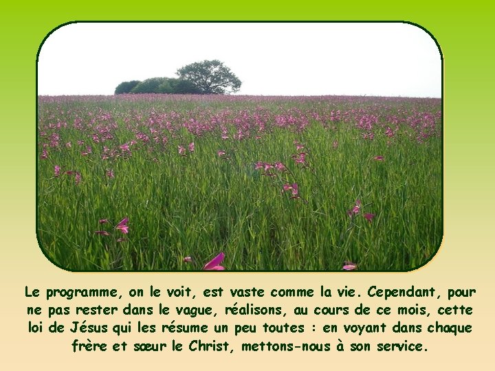 Le programme, on le voit, est vaste comme la vie. Cependant, pour ne pas