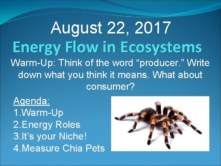 August 22, 2017 Energy Flow in Ecosystems Warm-Up: Think of the word “producer. ”