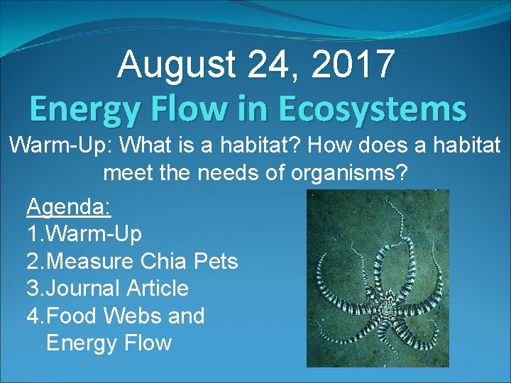 August 24, 2017 Energy Flow in Ecosystems Warm-Up: What is a habitat? How does