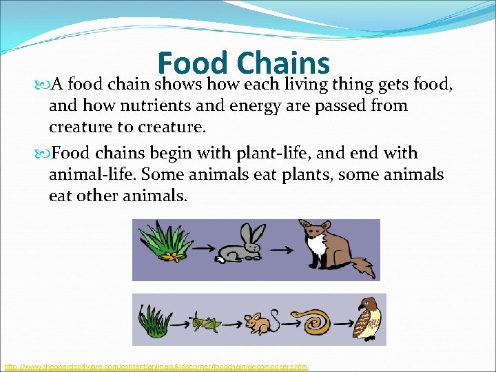 Food Chains A food chain shows how each living thing gets food, and how