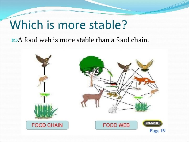 Which is more stable? A food web is more stable than a food chain.