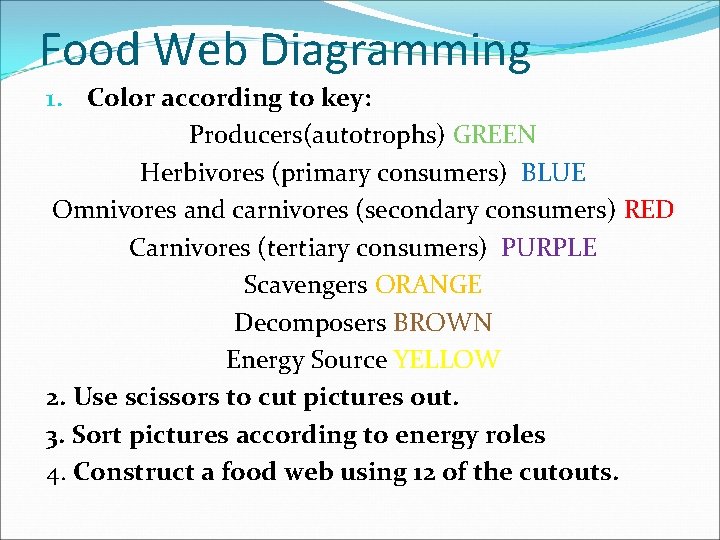 Food Web Diagramming 1. Color according to key: Producers(autotrophs) GREEN Herbivores (primary consumers) BLUE