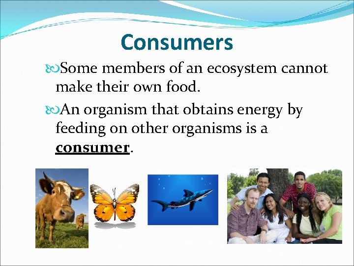 Consumers Some members of an ecosystem cannot make their own food. An organism that