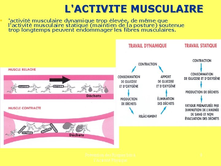 § L'ACTIVITE MUSCULAIRE 'activité musculaire dynamique trop élevée, de même que l'activité musculaire statique