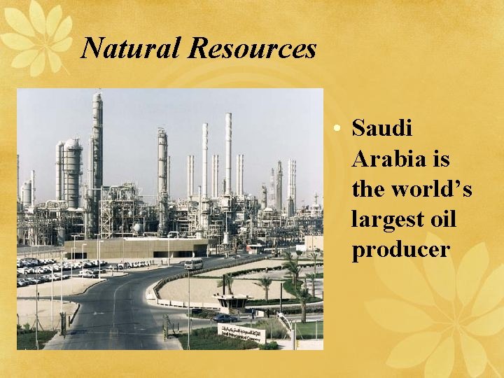 Natural Resources • Saudi Arabia is the world’s largest oil producer 