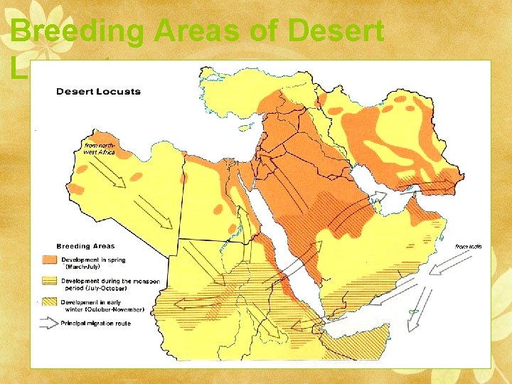 Breeding Areas of Desert Locusts 