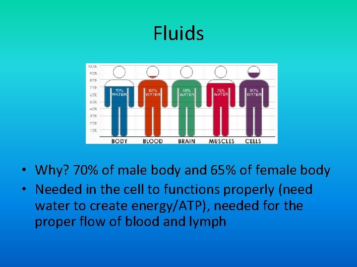 Fluids • Why? 70% of male body and 65% of female body • Needed