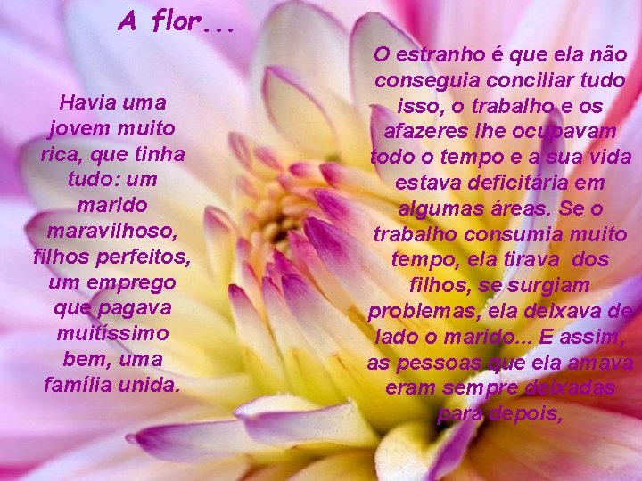 A flor. . . Havia uma jovem muito rica, que tinha tudo: um marido