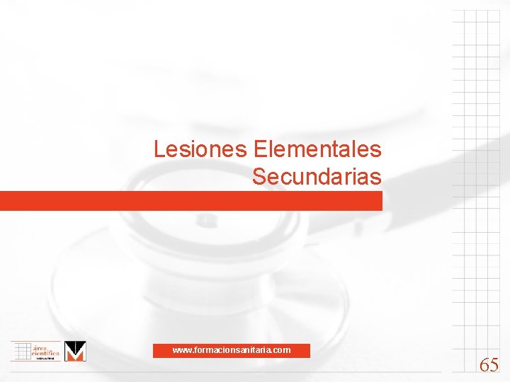 Lesiones Elementales Secundarias www. formacionsanitaria. com 65 