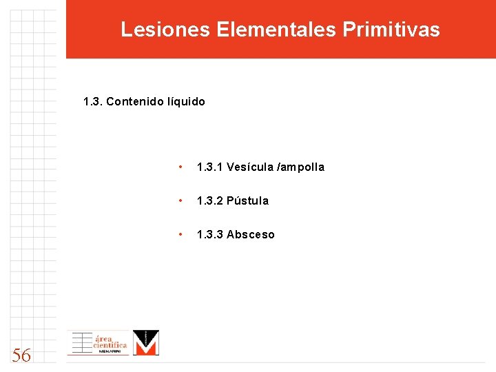 Lesiones Elementales Primitivas 1. 3. Contenido líquido 56 • 1. 3. 1 Vesícula /ampolla