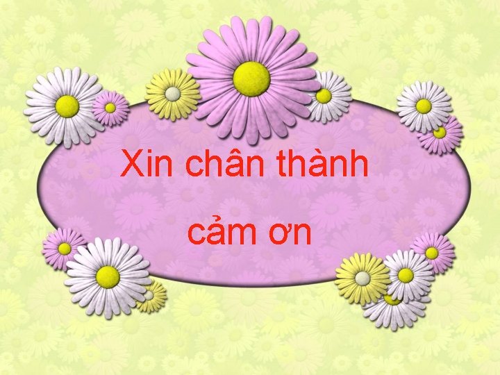 Xin chân thành cảm ơn 