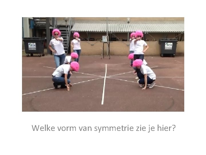 Welke vorm van symmetrie zie je hier? 