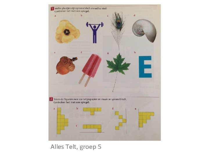 Alles Telt, groep 5 