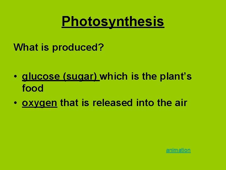 Photosynthesis What is produced? • glucose (sugar) which is the plant’s food • oxygen