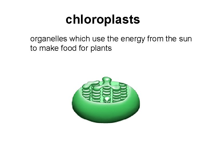 chloroplasts organelles which use the energy from the sun to make food for plants