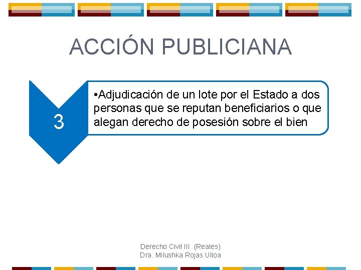 ACCIÓN PUBLICIANA 3 • Adjudicación de un lote por el Estado a dos personas