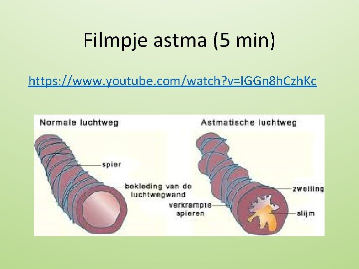 Filmpje astma (5 min) https: //www. youtube. com/watch? v=IGGn 8 h. Czh. Kc 