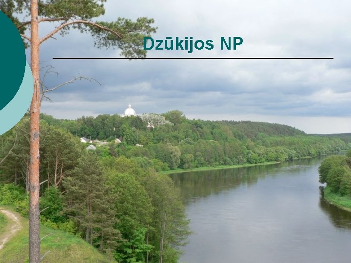 Dzūkijos NP 