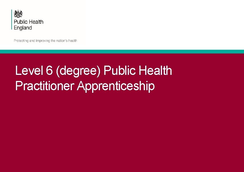 Level 6 (degree) Public Health Practitioner Apprenticeship 