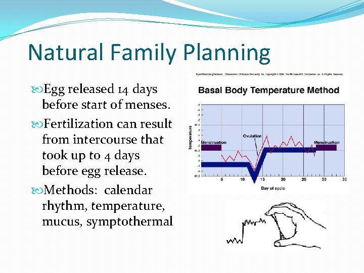 Natural Family Planning Egg released 14 days before start of menses. Fertilization can result