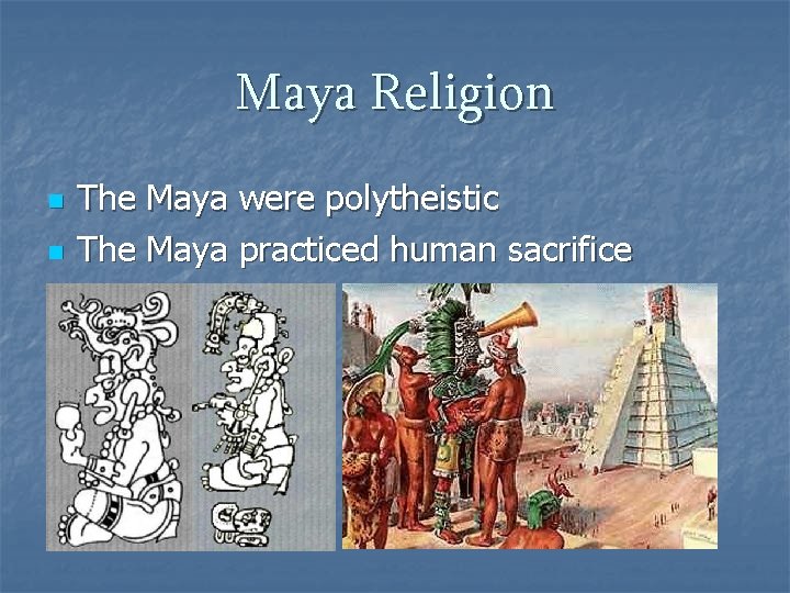 Maya Religion n n The Maya were polytheistic The Maya practiced human sacrifice 
