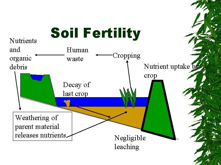 Nutrients and organic debris Soil Fertility Human waste Cropping Nutrient uptake by crop Decay