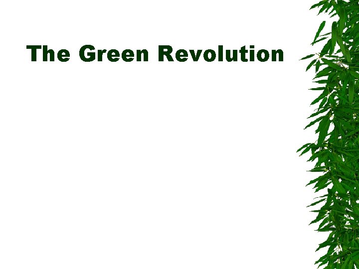 The Green Revolution 
