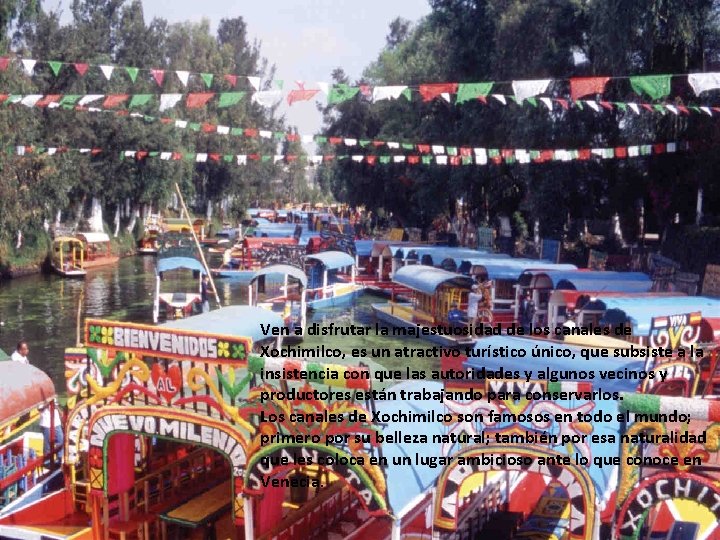 Ven a disfrutar la majestuosidad de los canales de Xochimilco, es un atractivo turístico Ven a disfrutar la majestuosidad de los canales de Xochimilco, es un atractivo turístico