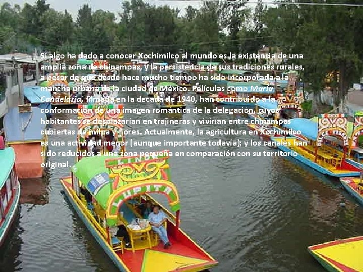 Si algo ha dado a conocer Xochimilco al mundo es la existencia de una Si algo ha dado a conocer Xochimilco al mundo es la existencia de una