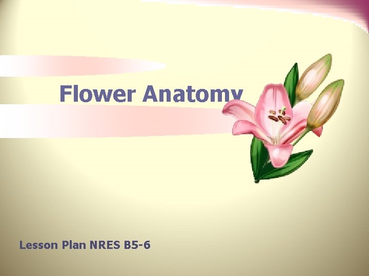 Flower Anatomy Lesson Plan NRES B 5 -6 