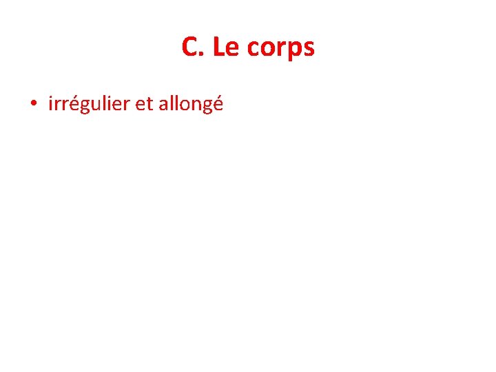 C. Le corps • irrégulier et allongé 